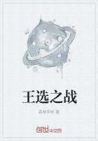 王选之战