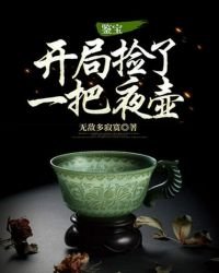 鉴宝:开局捡了一把夜壶
