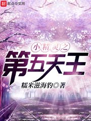(宝可梦同人)小精灵之第五天王