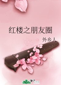 (BG/红楼梦同人)红楼之朋友圈