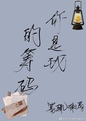 你是我的筹码