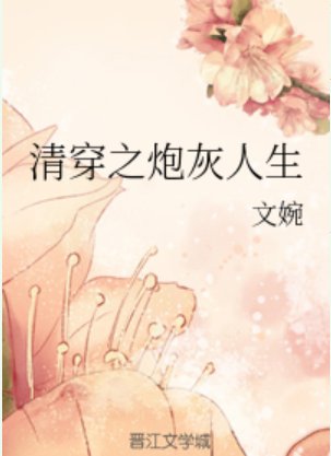 清穿之炮灰人生