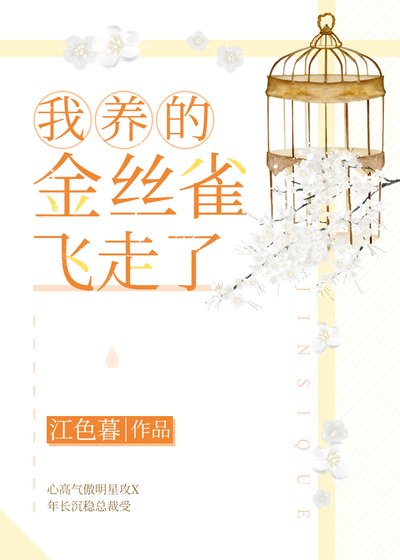 我养的金丝雀飞走了