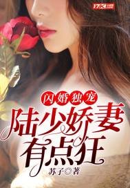 閃婚獨寵:陸少嬌妻有點狂