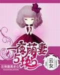 一夜萌妻5块5:压倒腹黑老公