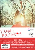 丫头别跑:腹黑少爷宠入怀