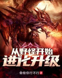 从叶怪开始浸化升级