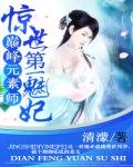 惊世第一魅妃:巅峰元素师