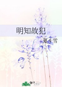 明知故犯