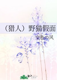 (猎人)野猫假面