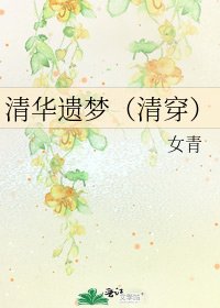 清华遗梦(清穿)