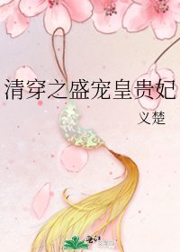 清穿之盛宠皇贵妃