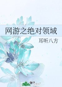 网游之绝对领域
