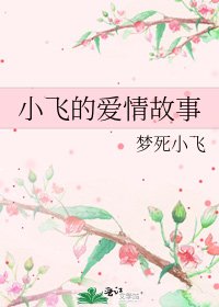 小飞的爱情故事