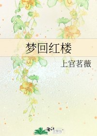 梦回红楼