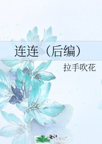 连连(后编)