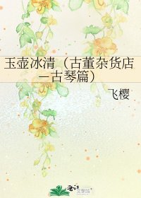 玉壶冰清(古董杂货店-古琴篇)