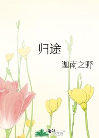 归途