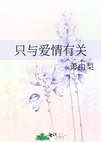只与爱情有关