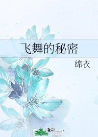 飞舞的秘密