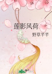 莲影风荷