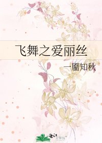飞舞之爱丽丝