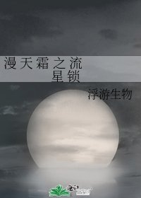 漫 天 霜 之 流 星 锁