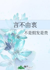 言不由衷