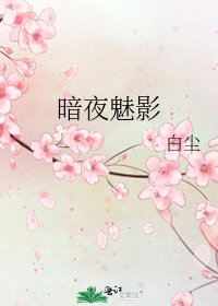 暗夜魅影