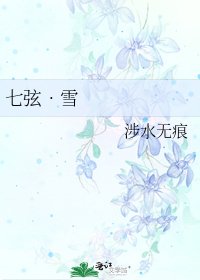 七弦•雪