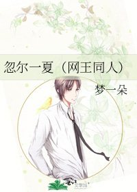 忽尔一夏(网王同人)