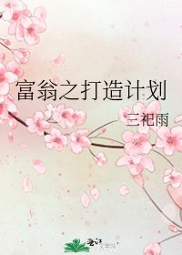 富翁之打造计划