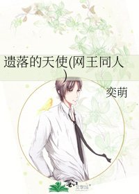 遗落的天使(网王同人)