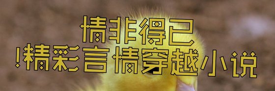 情非得已！精彩言情穿越小说