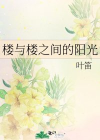 楼与楼之间的阳光