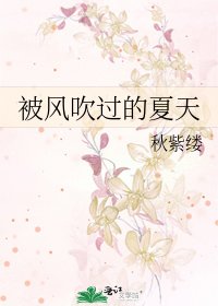 被风吹过的夏天