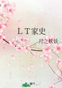 LT家史