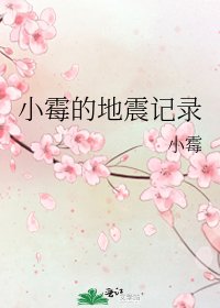 小霉的地震记录