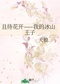 且待花開——我的冰山王子