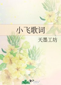 小飞歌词