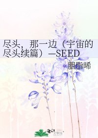 尽头,那一边(宇宙的尽头续篇)—SEED同人(AK)