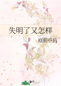 失明了又怎样