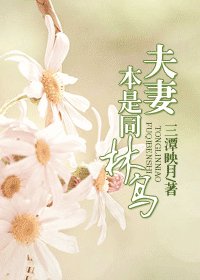夫妻本是同林鸟