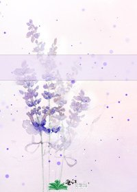莹瑶传