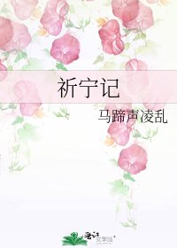 祈宁记