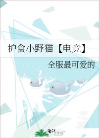 护食小野猫【电竞】