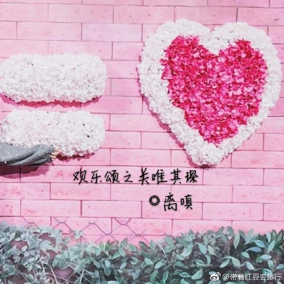 欢乐颂之依依其琛