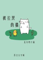 被拉黑的猫