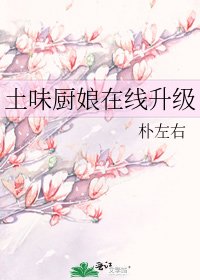 土味厨娘在线升级