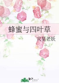 蜂蜜与四叶草